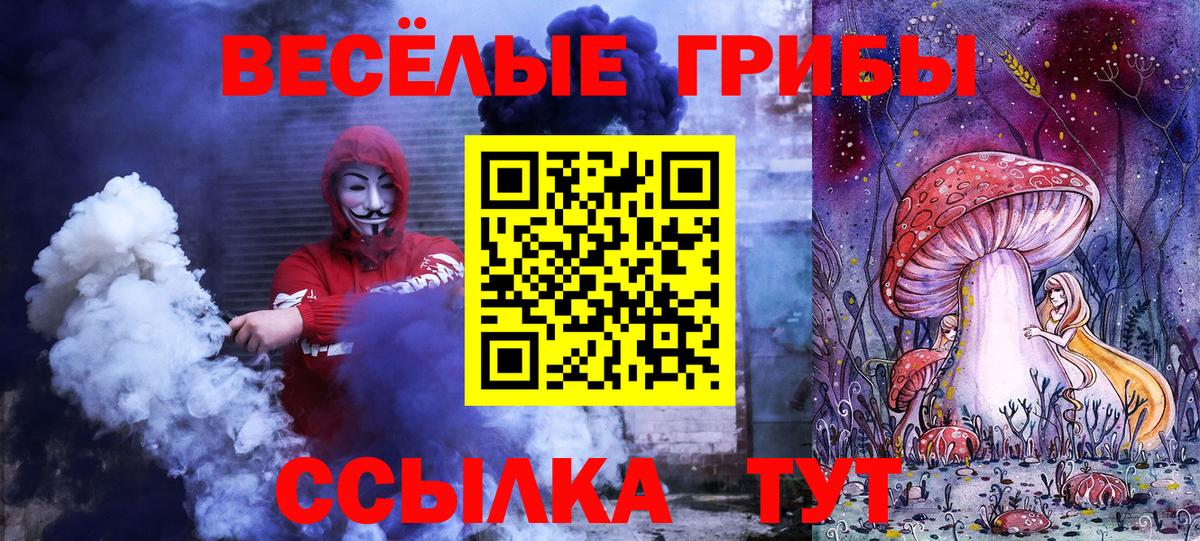 Псилоцибиновые грибы мицелий Вышний Волочёк