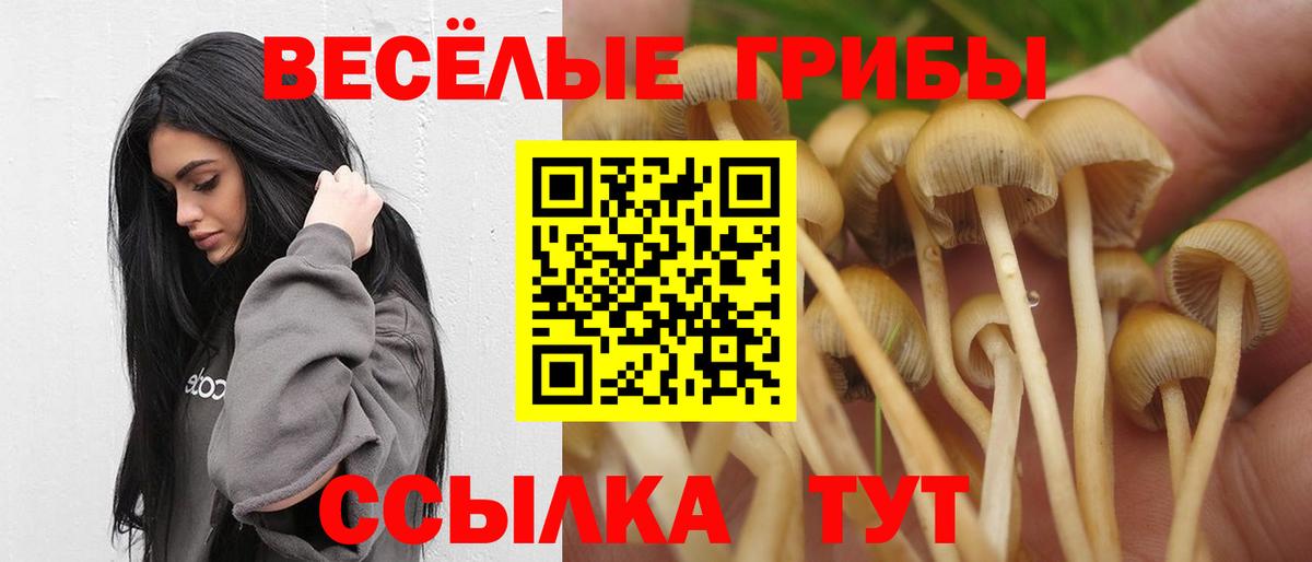 Вышний Волочёк  Псилоцибиновые грибы GOLDEN TEACHER  Вход с VPN 